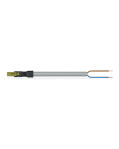 pre-assembled connecting cable; Eca; Plug/open-ended; 2-pole; Cod. B; Control cable 2 x 1.0 mm²; 4m; 1,00 mm²; light green