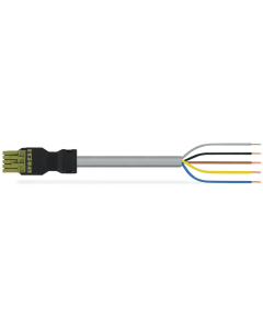 pre-assembled connecting cable; Eca; Socket/open-ended; 5-pole; Cod. B; 4m; 1,00 mm²; light green